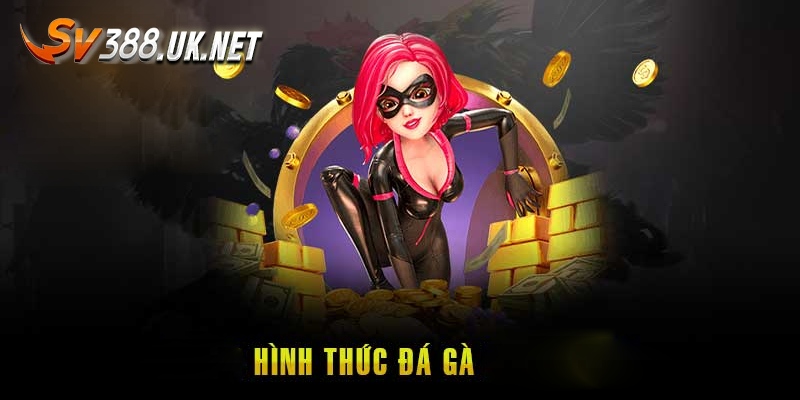 Đá Gà 79 - Sảnh Game Thu Hút Mọi Đối Tượng Mê Chọi Kê Các loại hình đá gà hấp dẫn hiện nay