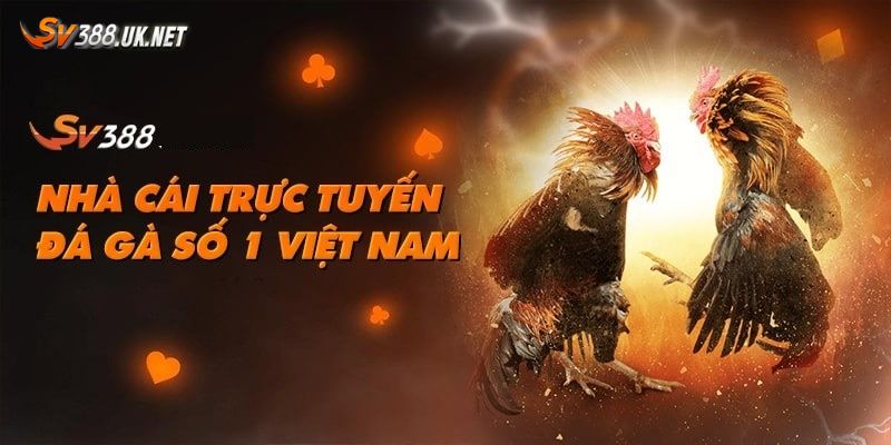 Ưu thế khi vào SV388 mới nhất