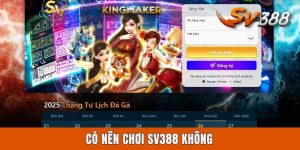 Có Nên Chơi SV388 Không? Góc Nhìn Chuyên Sâu Cho Anh Em