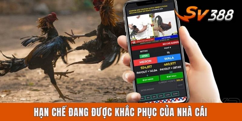 Có Nên Chơi Sv388 Không? Góc Nhìn Chuyên Sâu Cho Anh Em Hạn chế đang được khắc phục của nhà cái