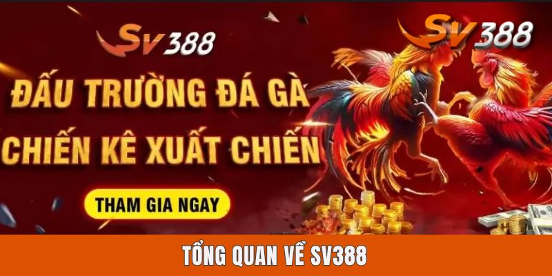 Tổng quan về Sv388